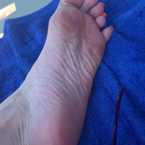 vixenarches #5066825