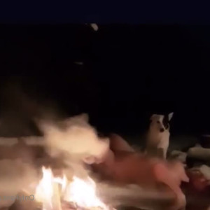 Video by daliarouge published on June 25,2023 15:23:00 - BestThots
