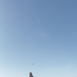 Video by daliarouge published on March 15,2023 19:03:00 - BestThots