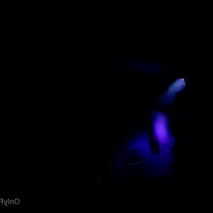 Video by xmandyfoxxx published on March 1,2023 10:08:00 - BestThots