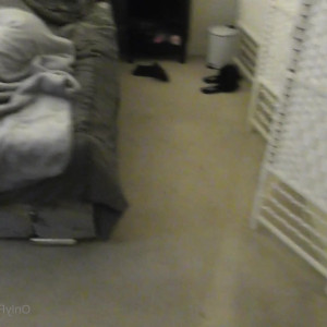 Video by xmandyfoxxx published on March 21,2023 11:32:00 - BestThots
