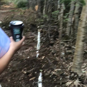 Video by lladventures published on March 22,2023 15:41:00 - BestThots