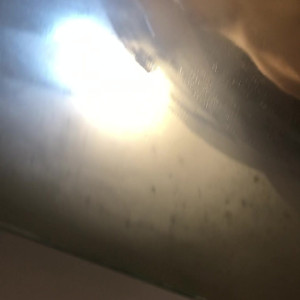 Video by maddiesprings published on July 14,2023 01:26:00 - BestThots