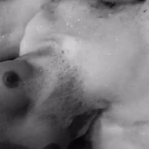 Video by maddiesprings published on June 22,2023 14:49:00 - BestThots