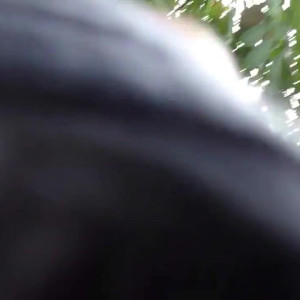 Video by maddiesprings published on April 12,2023 19:39:00 - BestThots