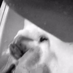 Video by maddiesprings published on April 14,2023 00:57:00 - BestThots