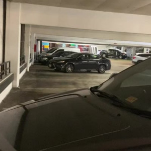 exoticavabae #5220276