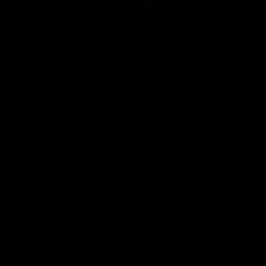 Video by sarenademon published on May 26,2023 11:07:00 - BestThots
