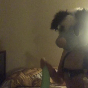 Video by ginger.pup published on March 28,2023 02:15:00 - BestThots