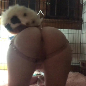 Video by ginger.pup published on April 26,2023 07:38:00 - BestThots
