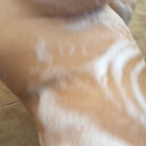 Video by whitechinnaak published on March 31,2023 00:46:00 - BestThots