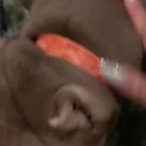 Video by edwinacarlaisaac published on April 2,2023 21:23:00 - BestThots