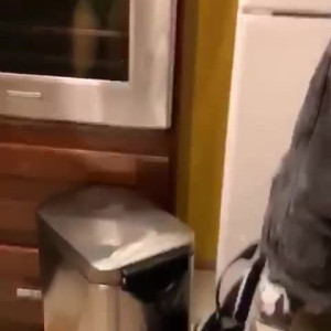 Video by edwinacarlaisaac published on March 16,2023 01:55:00 - BestThots