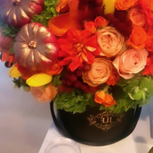 Video by edwinacarlaisaac published on August 15,2023 22:36:00 - BestThots