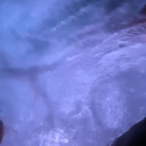 Video by edwinacarlaisaac published on April 28,2023 07:49:00 - BestThots