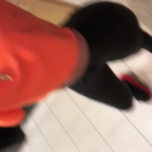 Video by edwinacarlaisaac published on April 13,2023 16:32:00 - BestThots