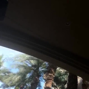 Video by edwinacarlaisaac published on July 29,2023 05:55:00 - BestThots