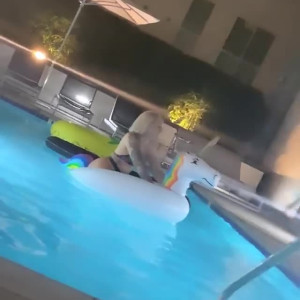 Video by edwinacarlaisaac published on August 16,2023 18:50:00 - BestThots