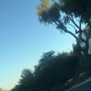 Video by edwinacarlaisaac published on April 12,2023 03:23:00 - BestThots