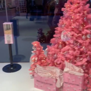 Video by edwinacarlaisaac published on July 13,2023 14:39:00 - BestThots