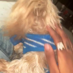 Video by edwinacarlaisaac published on July 17,2023 23:50:00 - BestThots