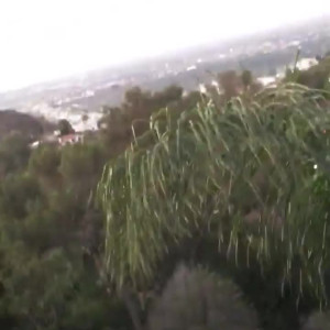 Video by edwinacarlaisaac published on August 10,2023 17:51:00 - BestThots