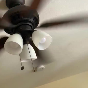 Video by edwinacarlaisaac published on April 8,2023 02:54:00 - BestThots