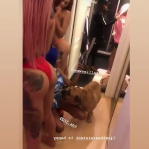 Video by edwinacarlaisaac published on March 11,2023 01:12:00 - BestThots
