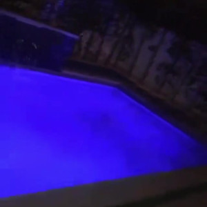 Video by edwinacarlaisaac published on April 5,2023 03:02:00 - BestThots