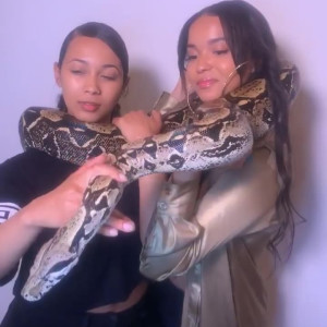 Video by edwinacarlaisaac published on April 1,2023 05:31:00 - BestThots