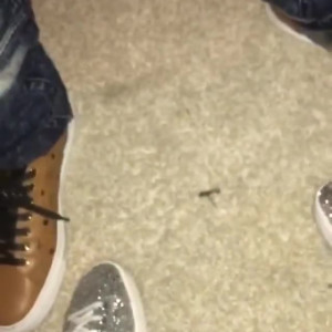 Video by edwinacarlaisaac published on July 14,2023 17:50:00 - BestThots