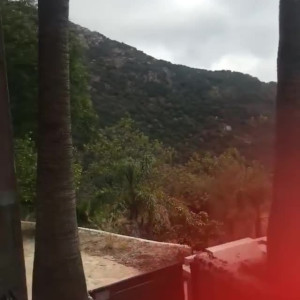 Video by edwinacarlaisaac published on April 2,2023 14:25:00 - BestThots
