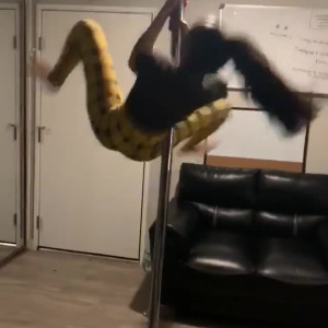 Video by edwinacarlaisaac published on April 29,2023 09:12:00 - BestThots