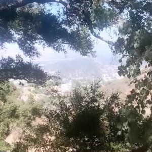 Video by edwinacarlaisaac published on August 10,2023 16:54:00 - BestThots