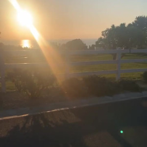 Video by edwinacarlaisaac published on July 28,2023 19:21:00 - BestThots