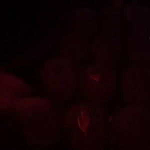 Video by edwinacarlaisaac published on March 5,2023 16:31:00 - BestThots