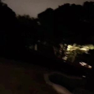 Video by edwinacarlaisaac published on August 4,2023 03:42:00 - BestThots