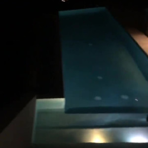 Video by edwinacarlaisaac published on August 14,2023 00:57:00 - BestThots