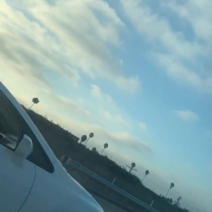 Video by edwinacarlaisaac published on July 28,2023 16:32:00 - BestThots