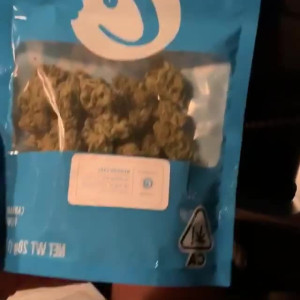 Video by edwinacarlaisaac published on August 14,2023 20:46:00 - BestThots