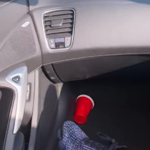 Video by edwinacarlaisaac published on April 11,2023 15:02:00 - BestThots