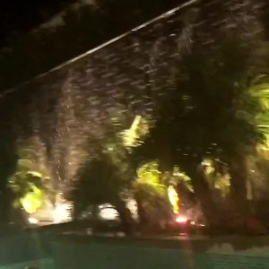 Video by edwinacarlaisaac published on March 18,2023 07:24:00 - BestThots