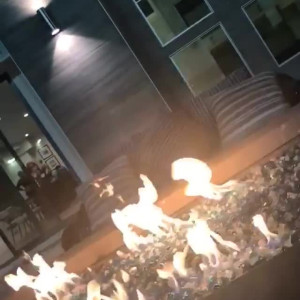 Video by edwinacarlaisaac published on April 13,2023 02:53:00 - BestThots