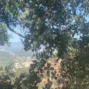 Video by edwinacarlaisaac published on July 14,2023 19:34:00 - BestThots