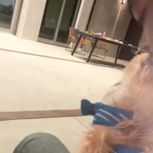 Video by edwinacarlaisaac published on August 11,2023 14:46:00 - BestThots