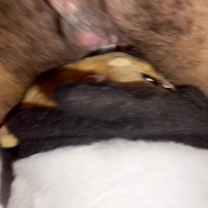 Video by foxxpink published on August 3,2023 10:08:00 - BestThots
