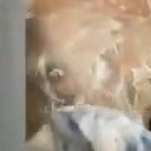 Video by foxxpink published on May 22,2023 20:40:00 - BestThots