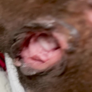 Video by foxxpink published on June 17,2023 02:22:00 - BestThots