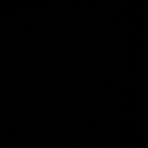 Video by imbabywolfe published on July 26,2023 15:04:00 - BestThots
