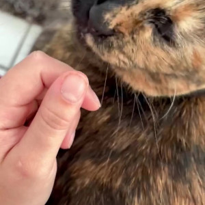 Video by your_submissive_doll published on August 24,2023 16:19:00 - BestThots